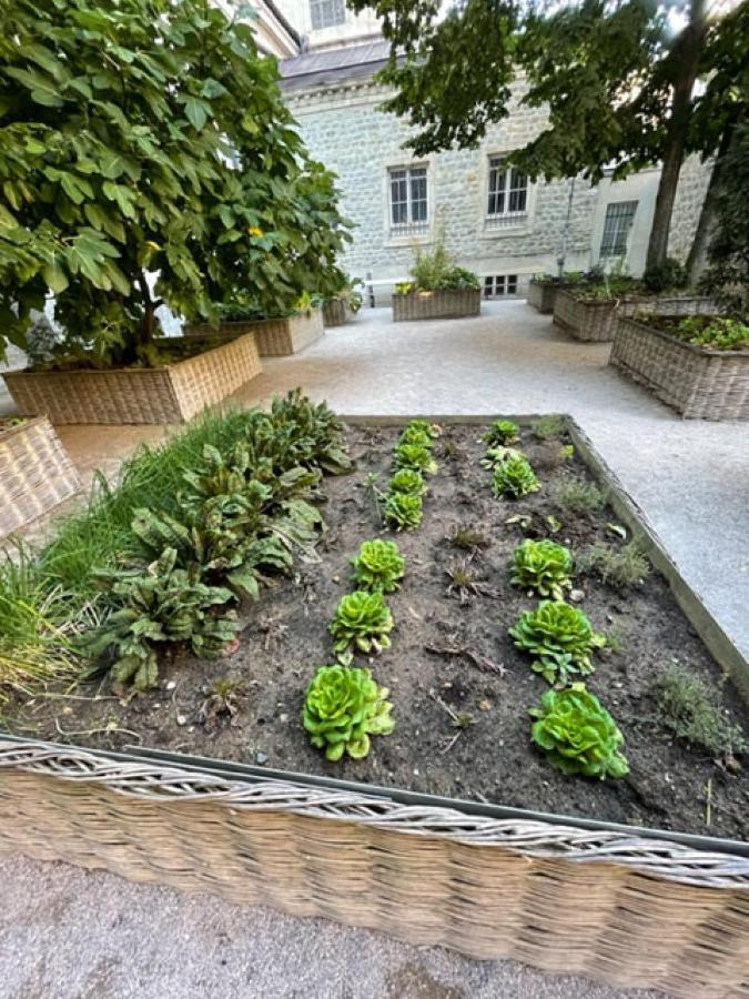 Апартаменты Au Jardin De La Basilique Булонь-сюр-Мер Экстерьер фото